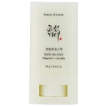 Сонцезахисний стік Beauty of Joseon Mugwort + Camelia, SPF 50+, 18g