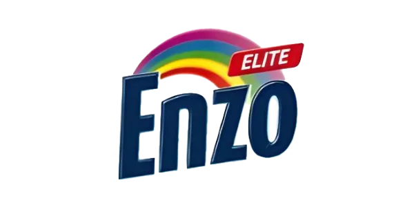 Enzo logo